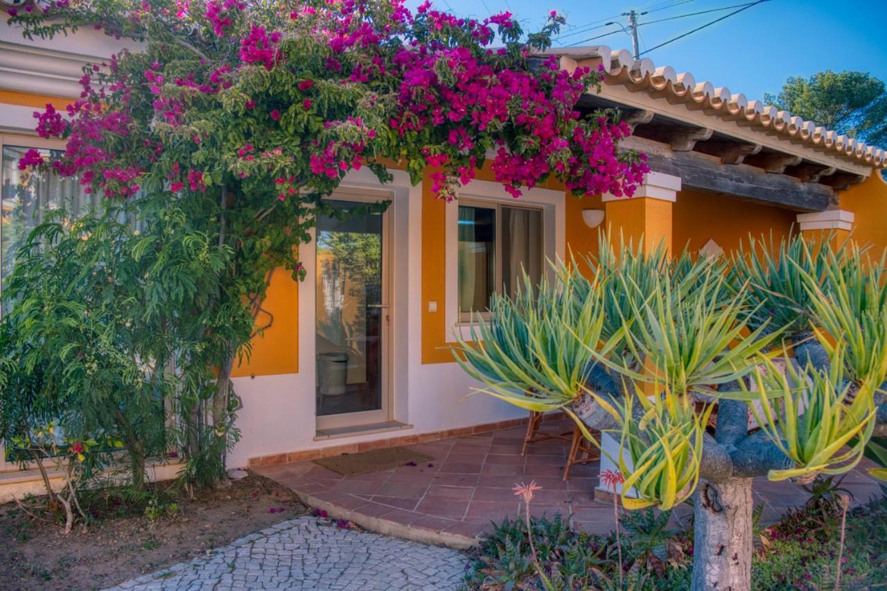 Moonshine Guest House With Private Studios And Private Cottage Lagos Exterior photo
